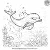 Delightful Dolphin Coloring Pages