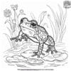 Beautiful Aesthetic Frog Coloring Pages for Creative Fun