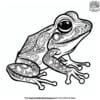 Lovely Aesthetic Frog Coloring Pages