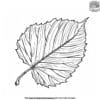 Autumn Leaf Coloring Pages