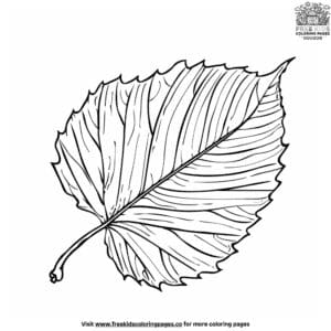 Autumn Leaf Coloring Pages