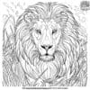 Lion Head Coloring Pages