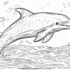 Ocean Animals Coloring Pages