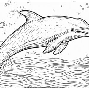 Ocean animals coloring pages