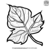 Leaf Structure Science Coloring Pages