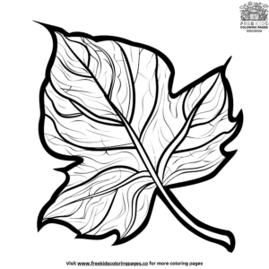 Leaf structure science coloring pages