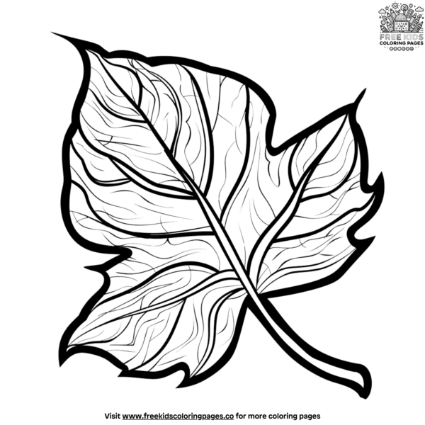 Leaf structure science coloring pages