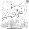 Underwater Dolphin Coloring Pages