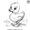 Adorable Duckling Coloring Pages