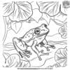 Charming Spring Frog Coloring Pages to Celebrate the Season