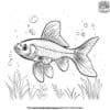 Simple And Charming Fish Coloring Pages