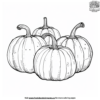 Blank Pumpkin Coloring Pages
