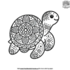Creative Mandala Turtle Coloring Pages