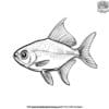 Small Fish Coloring Pages