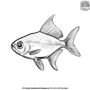 Small fish coloring pages