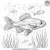 Adorable Small Fish Coloring Pages