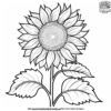 Cute Sunflower Coloring Pages