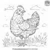 Curious Chicken Coloring Pages