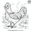 Barnyard Chicken Coloring Pages