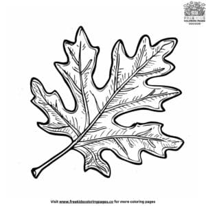 Easy Leaf Coloring Pages