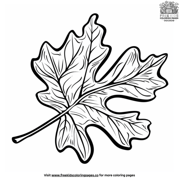 Easy Leaf Coloring Pages
