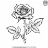 Easy Rose Coloring Pages