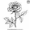 Easy Rose Coloring Pages