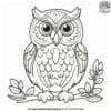 Intricate Realistic Owl Coloring Pages: Bring Nature To Life