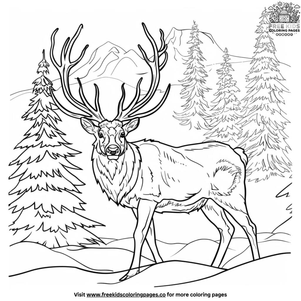 Realistic reindeer coloring pages