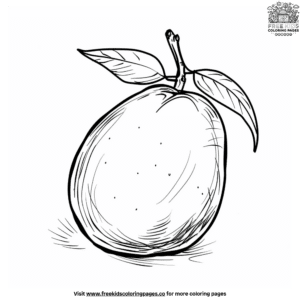 Basic fruit coloring pages