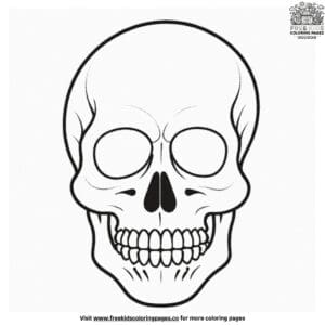 Simple Skull Coloring Pages