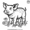 Farm Pig Coloring Pages