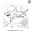 Ocean Shark Coloring Pages