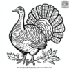Turkey Coloring Pages for Preschoolers