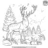 Deer Hunting Coloring Pages