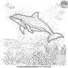 Dolphin Adventure Coloring Pages