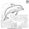 Fun Dolphin Adventure Coloring Pages