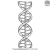 DNA Structure Science Coloring Pages