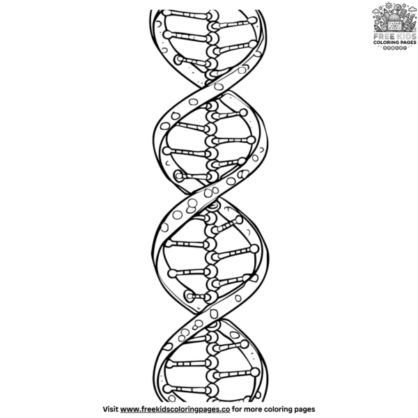 Dna structure science coloring pages