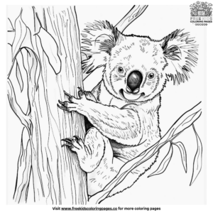 Koala Habitat Coloring Pages