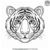 Detailed Tiger Face Coloring Pages