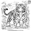 Prowling Tiger Coloring Pages