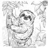 Sloth On A Tree Coloring Pages