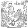 Chicken in the Meadow Coloring Pages