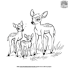 Deer Family Coloring Pages