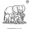 Elephant Family Coloring Pages
