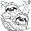 Baby Sloth with Parent Coloring Pages