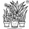 House Plant Coloring Pages