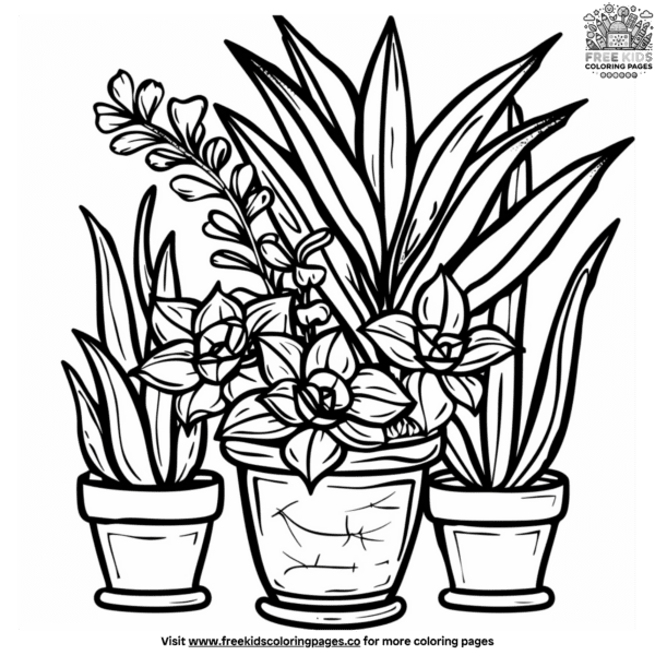 House plant coloring pages