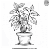 Cute Plant Pot Coloring Pages